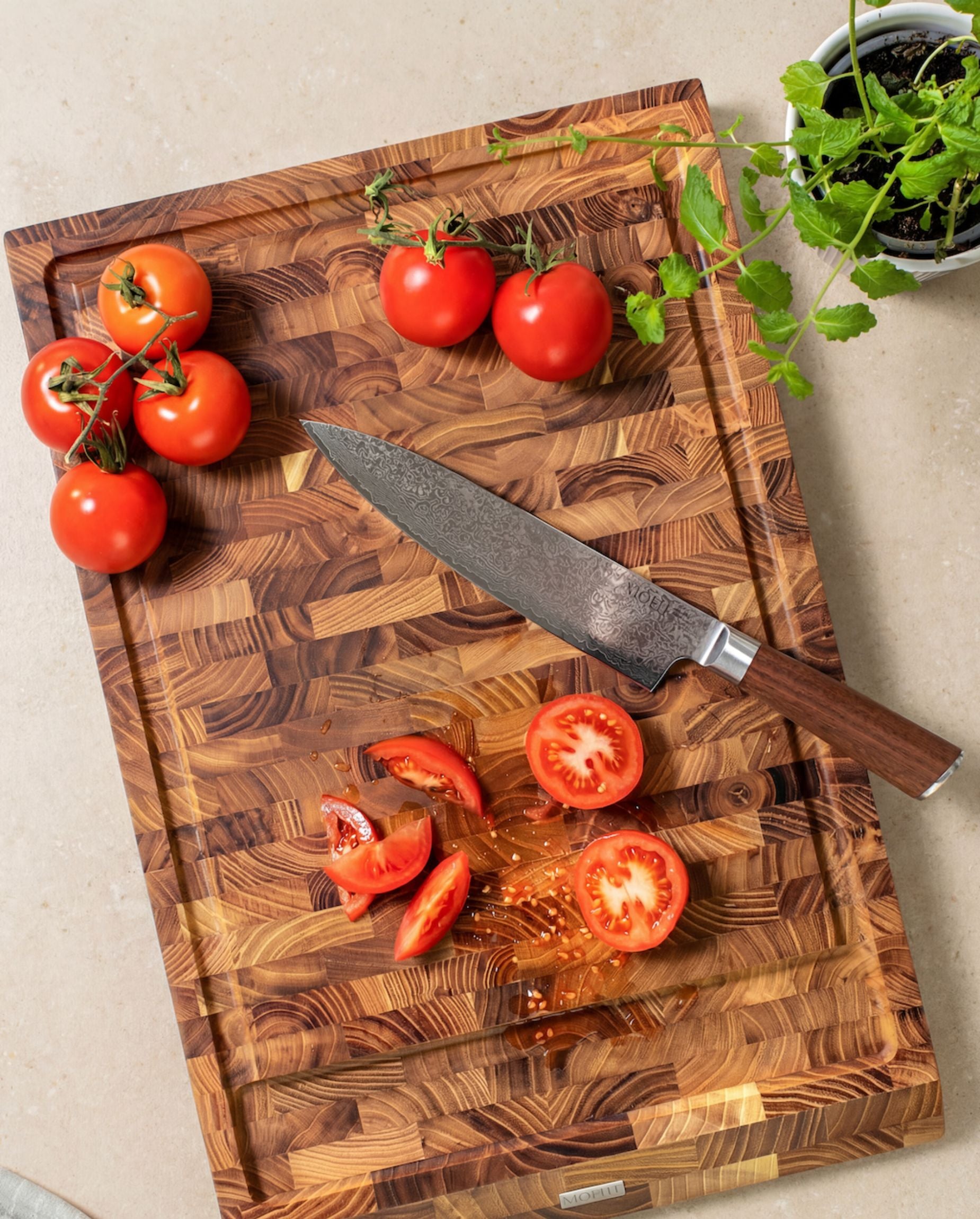 Gyuto Chef's Knife